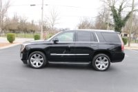 Used 2016 Cadillac Escalade Luxury Collection for sale Sold at Auto Collection in Murfreesboro TN 37130 7