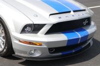 Used 2008 Ford SHELBY GT500KR RWD Coupe COUPE for sale Sold at Auto Collection in Murfreesboro TN 37129 11