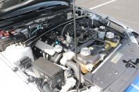 Used 2008 Ford SHELBY GT500KR RWD Coupe COUPE for sale Sold at Auto Collection in Murfreesboro TN 37129 74
