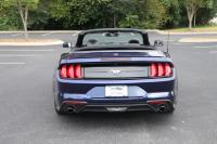 Used 2020 Ford MUSTANG Premium ecoboost  ECOBOOST PREMIUM CONVERTIBLE for sale Sold at Auto Collection in Murfreesboro TN 37130 6