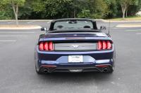 Used 2020 Ford MUSTANG Premium ecoboost ECOBOOST PREMIUM CONVERTIBLE for sale Sold at Auto Collection in Murfreesboro TN 37129 6