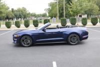 Used 2020 Ford MUSTANG Premium ecoboost ECOBOOST PREMIUM CONVERTIBLE for sale Sold at Auto Collection in Murfreesboro TN 37129 7