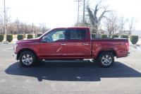 Used 2015 FORD F-150 XLT SUPERCREW 4x2 W/REAR VIEW CAMERA XLT SERIES for sale Sold at Auto Collection in Murfreesboro TN 37129 7