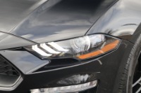 Used 2020 Ford Mustang ECOBOOST PREMIUM CONVERTIBLE for sale Sold at Auto Collection in Murfreesboro TN 37129 10