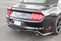 Used 2020 Ford Mustang ECOBOOST PREMIUM CONVERTIBLE for sale Sold at Auto Collection in Murfreesboro TN 37129 13