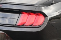 Used 2020 Ford Mustang ECOBOOST PREMIUM CONVERTIBLE for sale Sold at Auto Collection in Murfreesboro TN 37129 14