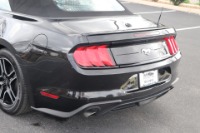 Used 2020 Ford Mustang ECOBOOST PREMIUM CONVERTIBLE for sale Sold at Auto Collection in Murfreesboro TN 37130 15