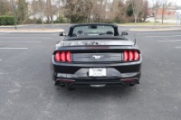Used 2020 Ford Mustang ECOBOOST PREMIUM CONVERTIBLE for sale Sold at Auto Collection in Murfreesboro TN 37130 6