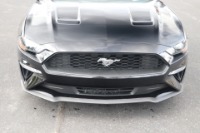 Used 2020 Ford Mustang ECOBOOST PREMIUM CONVERTIBLE for sale Sold at Auto Collection in Murfreesboro TN 37130 77