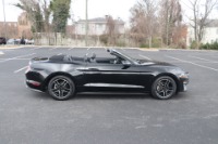 Used 2020 Ford Mustang ECOBOOST PREMIUM CONVERTIBLE for sale Sold at Auto Collection in Murfreesboro TN 37130 8