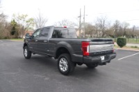Used 2019 Ford F-250 SD PLATINUM CREW CAB 4WD for sale Sold at Auto Collection in Murfreesboro TN 37130 4