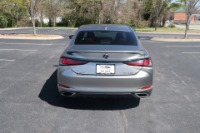 Used 2019 Lexus ES 350 F SPORT W/NAV for sale Sold at Auto Collection in Murfreesboro TN 37129 6