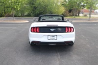 Used 2018 Ford Mustang CONVERTIBLE PREMIUM for sale Sold at Auto Collection in Murfreesboro TN 37129 12