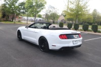 Used 2018 Ford Mustang CONVERTIBLE PREMIUM for sale Sold at Auto Collection in Murfreesboro TN 37129 8