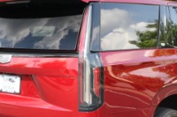 New 2021 Cadillac Escalade Sport 4WD W/NAV for sale Sold at Auto Collection in Murfreesboro TN 37129 14