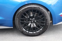 Used 2018 Ford Mustang GT PREMIUM BORLA EXHAUST W/NAV for sale Sold at Auto Collection in Murfreesboro TN 37129 68
