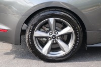 Used 2016 Ford Mustang GT RWD W/NAV for sale Sold at Auto Collection in Murfreesboro TN 37129 23
