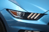 Used 2019 Ford SHELBY GT350 W/ELECTRONIC PKG for sale Sold at Auto Collection in Murfreesboro TN 37129 12