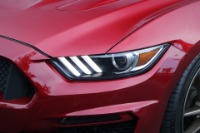 Used 2016 Ford Mustang GT PERFORMANCE E85 TUNED PROCHARGED for sale Sold at Auto Collection in Murfreesboro TN 37129 10