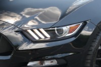 Used 2016 Ford SHELBY GT350 TECHNOLOGY W/NAV for sale Sold at Auto Collection in Murfreesboro TN 37129 10