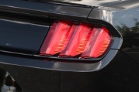 Used 2016 Ford SHELBY GT350 TECHNOLOGY W/NAV for sale Sold at Auto Collection in Murfreesboro TN 37129 14