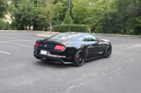 Used 2016 Ford SHELBY GT350 TECHNOLOGY W/NAV for sale Sold at Auto Collection in Murfreesboro TN 37129 3