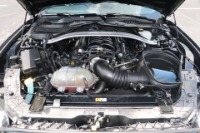 Used 2016 Ford SHELBY GT350 TECHNOLOGY W/NAV for sale Sold at Auto Collection in Murfreesboro TN 37129 80