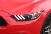 Used 2016 Ford Mustang ECOBOOST PREMIUM PERFORMANCE W/ADD ONS for sale Sold at Auto Collection in Murfreesboro TN 37129 10