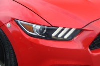 Used 2016 Ford Mustang ECOBOOST PREMIUM PERFORMANCE W/ADD ONS for sale Sold at Auto Collection in Murfreesboro TN 37129 12