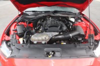 Used 2016 Ford Mustang ECOBOOST PREMIUM PERFORMANCE W/ADD ONS for sale Sold at Auto Collection in Murfreesboro TN 37129 23