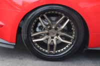 Used 2016 Ford Mustang ECOBOOST PREMIUM PERFORMANCE W/ADD ONS for sale Sold at Auto Collection in Murfreesboro TN 37129 29