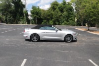 Used 2017 Ford Mustang ECOBOOST PREMIUM CONVERTIBLE W/NAV for sale Sold at Auto Collection in Murfreesboro TN 37129 13