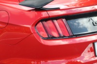 Used 2015 Ford Mustang GT COUPE W/GT PERFORMANCE PKG for sale Sold at Auto Collection in Murfreesboro TN 37129 16