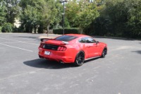 Used 2015 Ford Mustang GT COUPE W/GT PERFORMANCE PKG for sale Sold at Auto Collection in Murfreesboro TN 37129 3