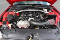 Used 2015 Ford Mustang GT COUPE W/GT PERFORMANCE PKG for sale Sold at Auto Collection in Murfreesboro TN 37129 30