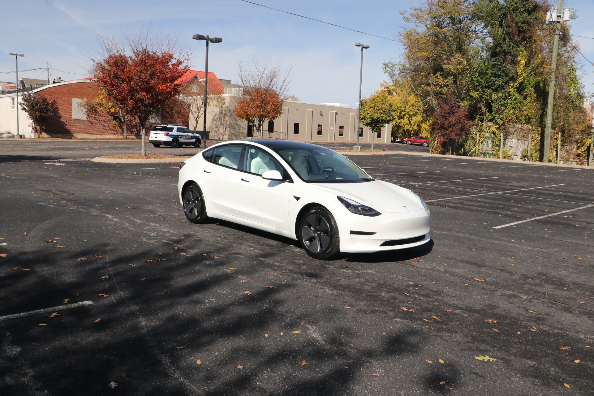 Used 2021 Tesla Model 3 Standard Range Plus for sale Sold at Auto Collection in Murfreesboro TN 37129 1
