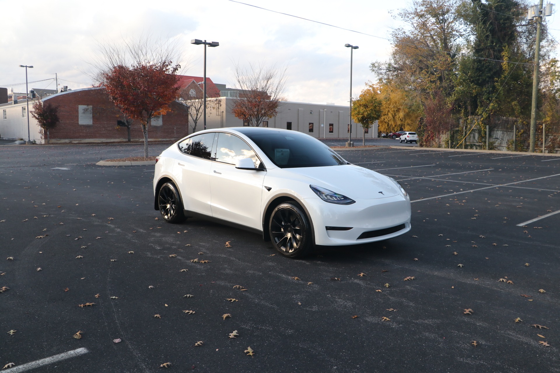 Used 2021 Tesla Model Y LONG RANGE RWD W/NAV for sale Sold at Auto Collection in Murfreesboro TN 37129 1