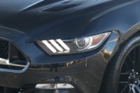 Used 2017 Ford Mustang GT PREMIUM PERFORMANCE SHAKER PRO AUDIO W/NAV for sale Sold at Auto Collection in Murfreesboro TN 37129 10