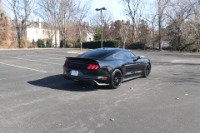 Used 2017 Ford Mustang GT PREMIUM PERFORMANCE SHAKER PRO AUDIO W/NAV for sale Sold at Auto Collection in Murfreesboro TN 37129 3