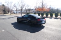 Used 2017 Ford Mustang GT PREMIUM PERFORMANCE SHAKER PRO AUDIO W/NAV for sale Sold at Auto Collection in Murfreesboro TN 37129 4
