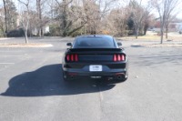 Used 2017 Ford Mustang GT PREMIUM PERFORMANCE SHAKER PRO AUDIO W/NAV for sale Sold at Auto Collection in Murfreesboro TN 37129 6