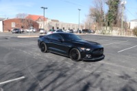 Used 2017 Ford Mustang GT PREMIUM PERFORMANCE SHAKER PRO AUDIO W/NAV for sale Sold at Auto Collection in Murfreesboro TN 37130 1