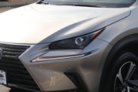 Used 2019 Lexus NX 300h W/PREMIUM PACKAGE for sale Sold at Auto Collection in Murfreesboro TN 37130 10