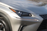 Used 2019 Lexus NX 300h W/PREMIUM PACKAGE for sale Sold at Auto Collection in Murfreesboro TN 37130 12