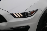 Used 2016 Ford Mustang Shelby GT350 W/TRACK PKG for sale $64,950 at Auto Collection in Murfreesboro TN 37130 10