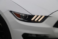 Used 2016 Ford Mustang Shelby GT350 W/TRACK PKG for sale $64,950 at Auto Collection in Murfreesboro TN 37130 12