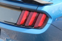 Used 2017 Ford Mustang GT PREMIUM W/NAV for sale Sold at Auto Collection in Murfreesboro TN 37130 15