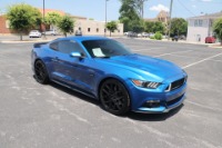 Used 2017 Ford Mustang GT PREMIUM W/NAV for sale Sold at Auto Collection in Murfreesboro TN 37130 1