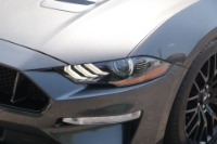 Used 2019 Ford Mustang GT Premium COUPE RWD W/GT PERFORMANCE PACKAGE for sale Sold at Auto Collection in Murfreesboro TN 37129 10