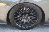 Used 2019 Ford Mustang GT Premium COUPE RWD W/GT PERFORMANCE PACKAGE for sale $39,950 at Auto Collection in Murfreesboro TN 37130 19